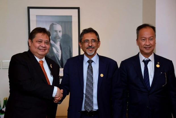 Indonesia, South Africa seek cooperation opportunities hinh anh 1