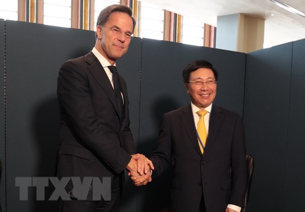 Vietnam boosts cooperation with Netherlands, African countries hinh anh 1