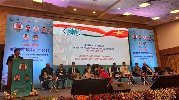 Vietnam seeks fisheries cooperation opportunities with India hinh anh 1
