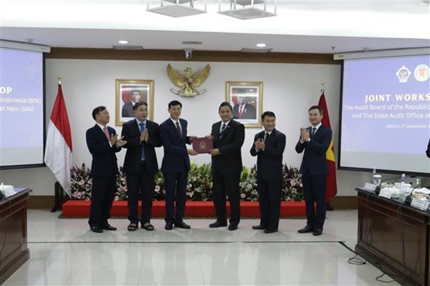 Vietnam, Indonesia share audit experience hinh anh 1