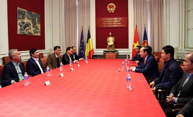 Party official visits Vietnamese embassy in Belgium hinh anh 1