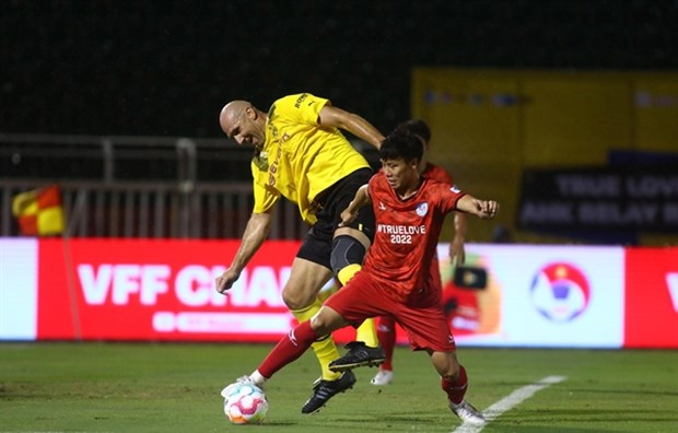 Dortmund Legends beat Vietnam All Stars in charity match hinh anh 1