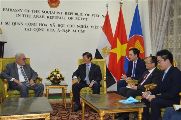 Vietnam, Egypt forge multi-faceted cooperation hinh anh 1