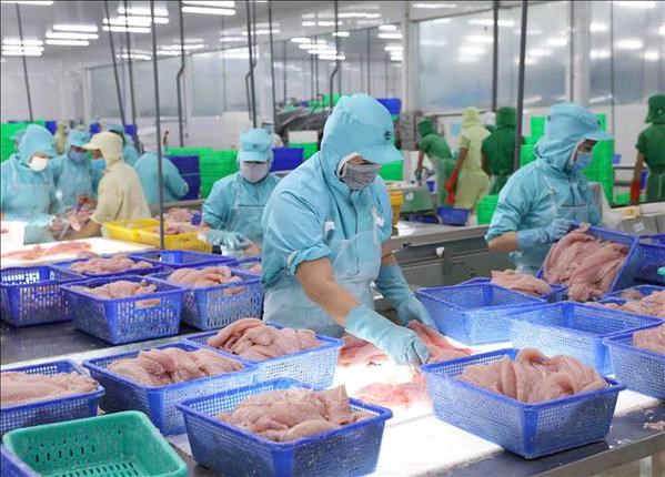 Export growth maintained despite difficulties hinh anh 2