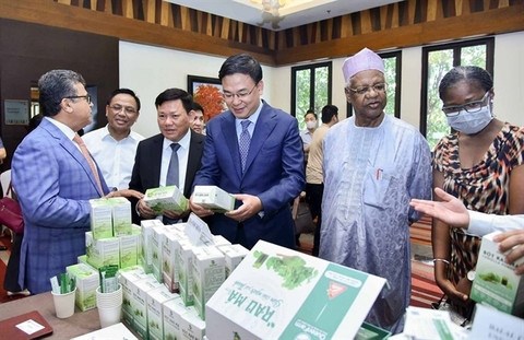 Vietnam sees great potential in ASEAN halal market hinh anh 1