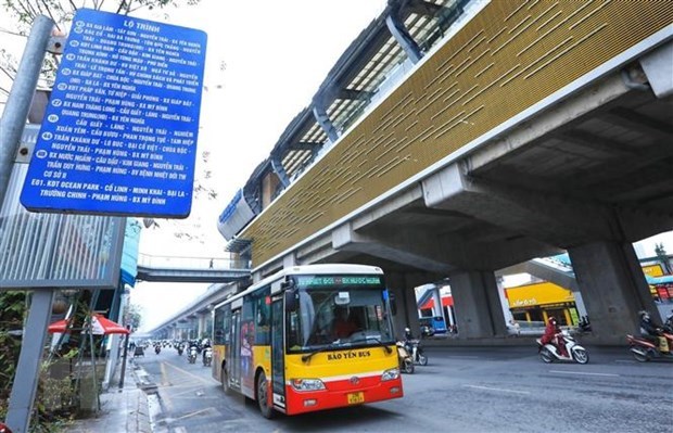 Hanoi's bus passenger traffic grows 25% hinh anh 1