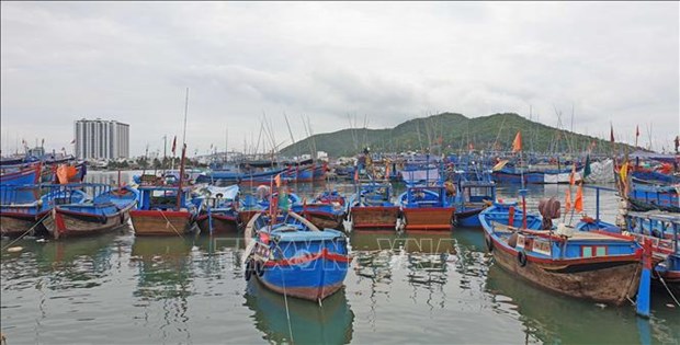 Khanh Hoa asked to hasten moves to address IUU fishing hinh anh 1