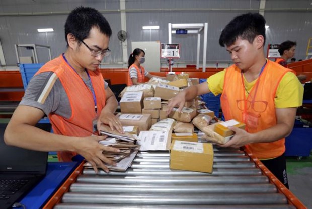E-commerce needs better legal framework to prevent tax loss: insiders hinh anh 1