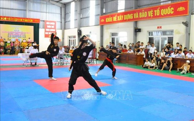 Hung Yen hosts largest-ever traditional martial arts championship hinh anh 1
