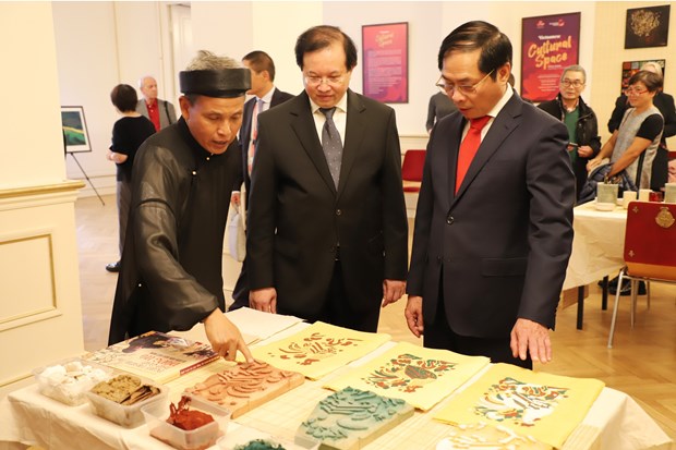 Cultural exchanges help strengthen Vietnam - Austria ties hinh anh 1