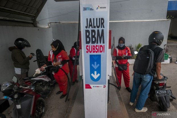 Indonesia increases subsidised fuel quotas hinh anh 1