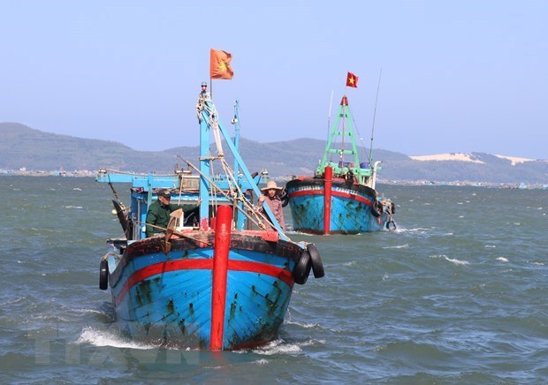 Binh Thuan continues efforts to fight IUU fishing hinh anh 1