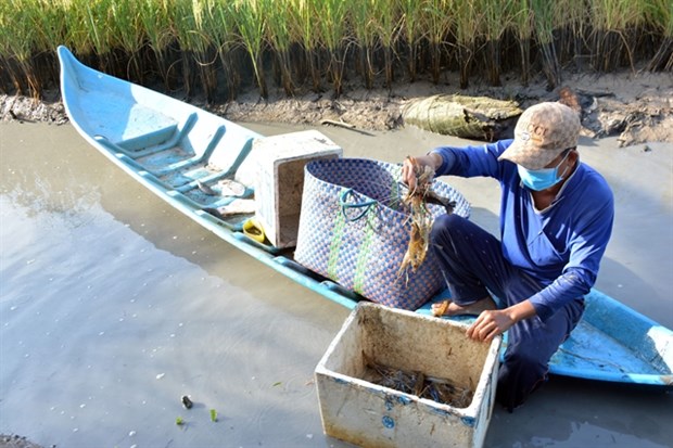 Kien Giang province expands aquaculture hinh anh 1