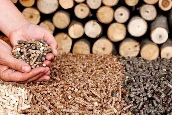 Exports of forestry waste products likely to rake in billions of USD hinh anh 1