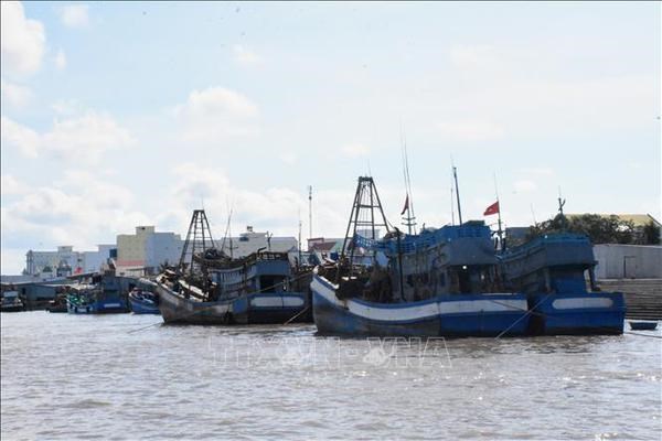 Bac Lieu striving to remove EC “yellow card” on fisheries sector hinh anh 1