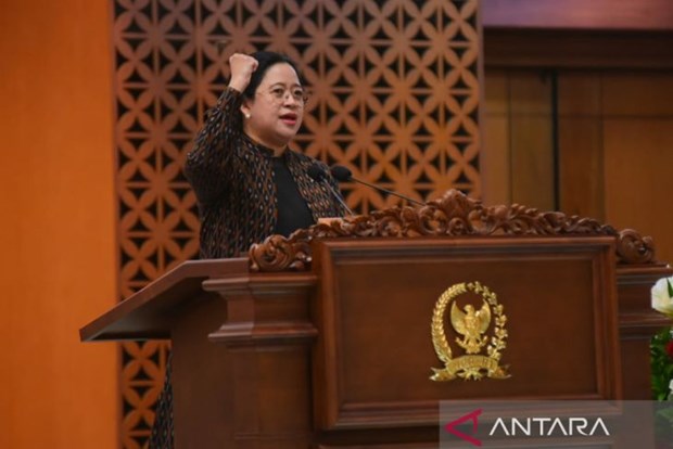 Indonesia urges G20 parliaments to address climate change hinh anh 1