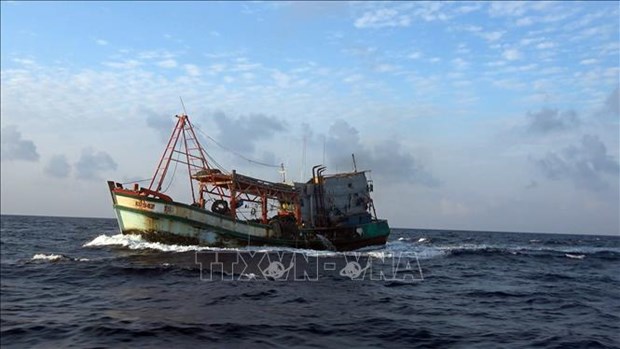 Kien Giang deals with vessels caught illegally fishing in foreign waters hinh anh 1