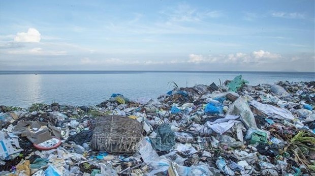 Stronger regional cooperation proposed to reduce marine litter hinh anh 1