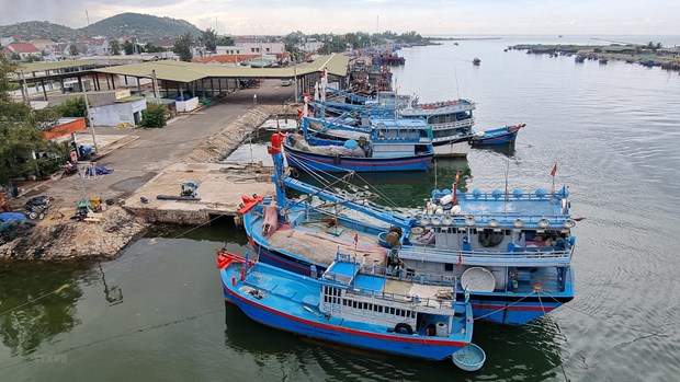 Ninh Thuan province tackles IUU fishing hinh anh 1