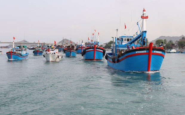 Quang Ngai invests in seaport infrastructure hinh anh 1
