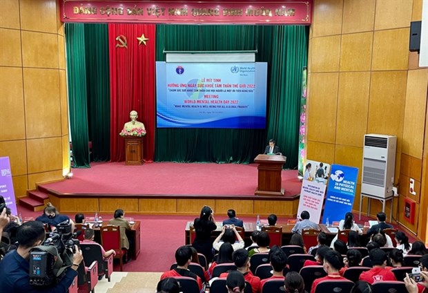 Health experts call for improving quality of mental health care hinh anh 1