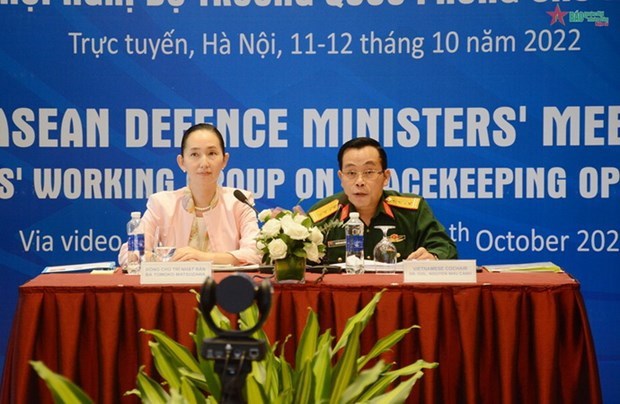 Vietnam, Japan co-chair 16th meeting of EWG on peacekeeping hinh anh 1
