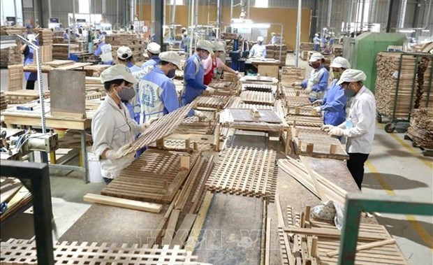 Vietnam should make most of ‘golden time’ to boost exports to EU: diplomat hinh anh 1