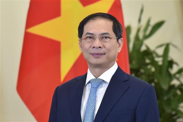 FM: Vietnam to join hands with int’l community to build a world of peace hinh anh 1
