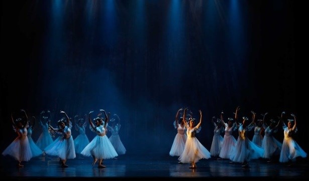 Classical ballet Giselle returns to HCM City hinh anh 1