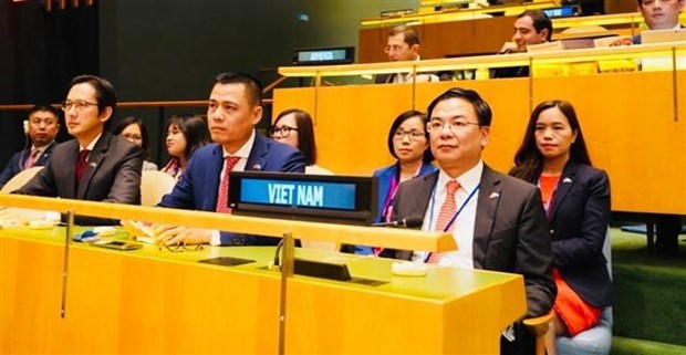 FM: Vietnam to join hands with int’l community to build a world of peace hinh anh 2