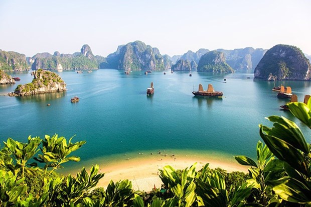 Vietnam among most searched tourist destinations on Google by Australians hinh anh 1