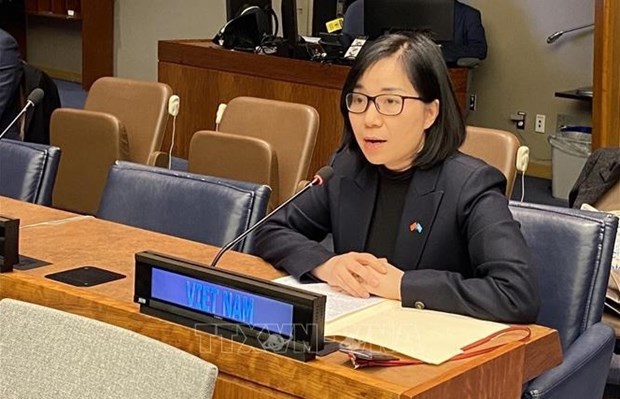 Vietnam highlights importance of decolonisation at UN committee’s session hinh anh 1