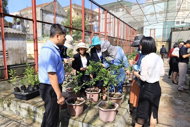 Training course enhances capacity of plant protection officers in central region hinh anh 1
