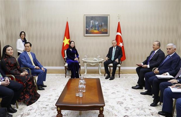 Vietnamese Vice President meets with foreign leaders in Kazakhstan hinh anh 2