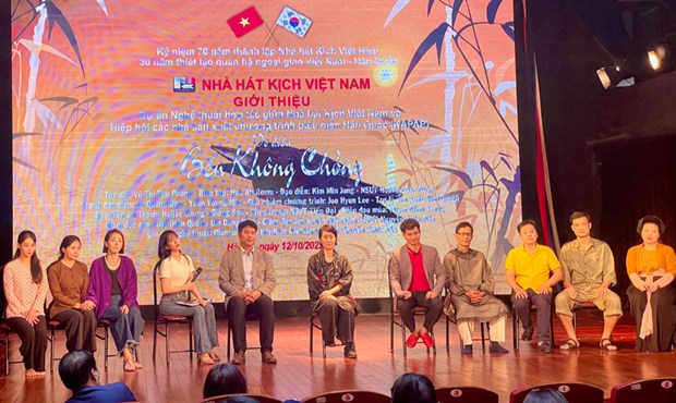 Vietnamese, Korean artists cooperate in play production hinh anh 1