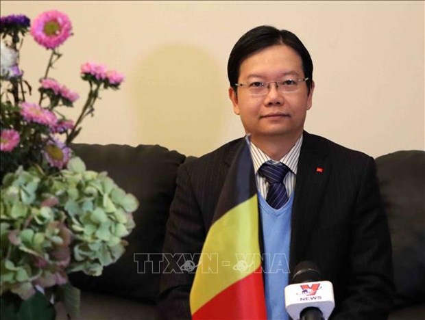 Office works to cement Vietnam’s trade links with Belgium, Europe hinh anh 1