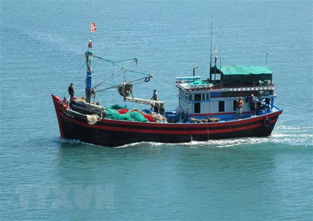 Coastal localities see better results in fighting IUU hinh anh 1