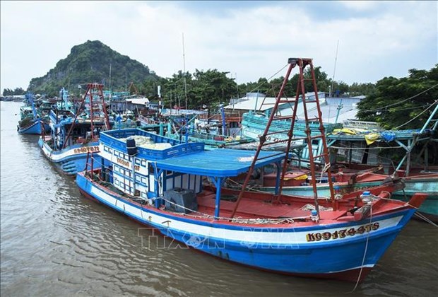 EC team to inspect Kien Giang’s efforts to prevent IUU fishing hinh anh 1