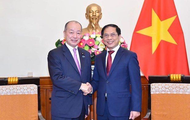 Foreign Minister delighted at growing ties with Japan hinh anh 1