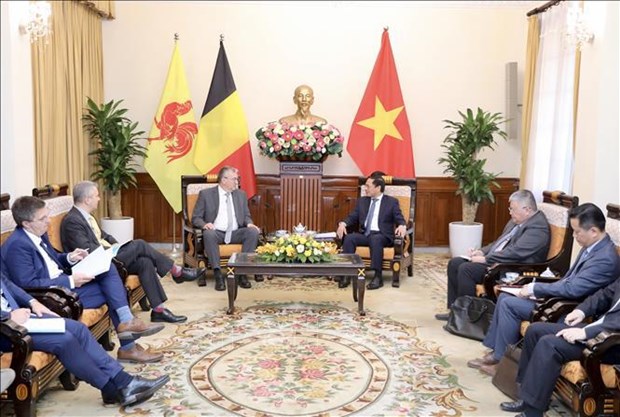 Foreign Minister hails Wallonie-Bruxelles’ support for Vietnam hinh anh 1
