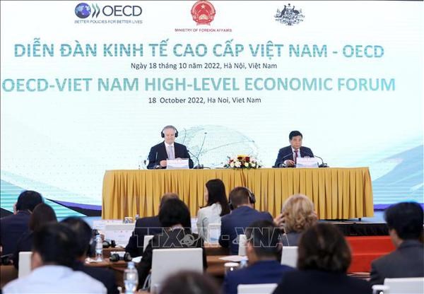 OECD-Vietnam High-Level Economic Forum opens hinh anh 2