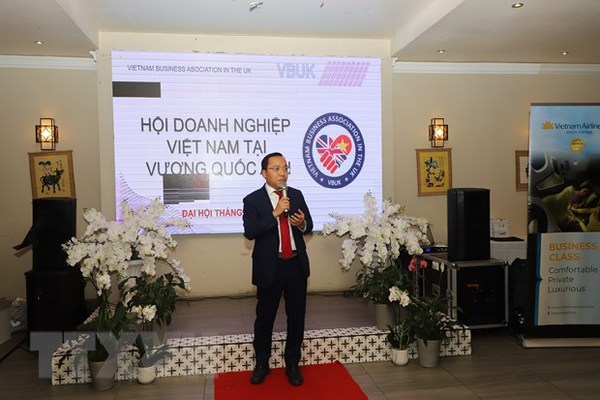 VBUK contributes to connecting Vietnamese firms in Vietnam, UK hinh anh 1