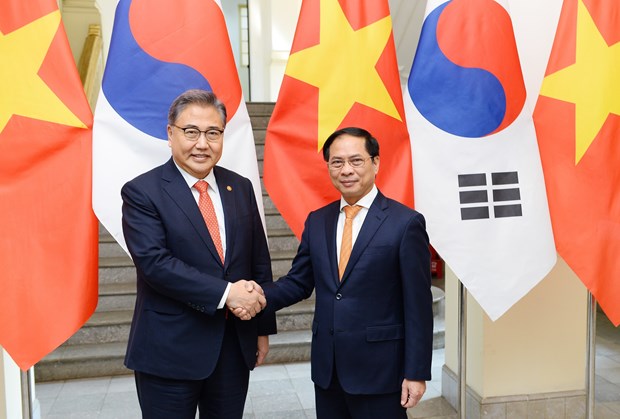 Foreign ministers agree to develop Vietnam-RoK cooperation hinh anh 1