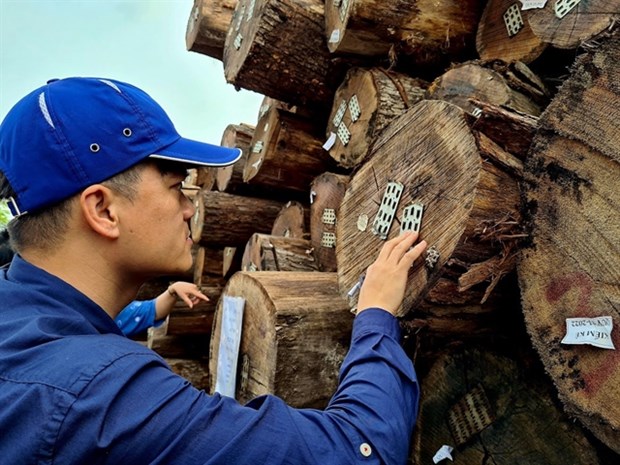 Huge potential for Vietnam’s timber exports hinh anh 1