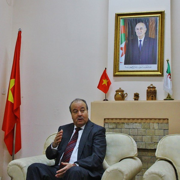 Vietnam, Algeria enjoy sound six-decade ties: diplomat hinh anh 2