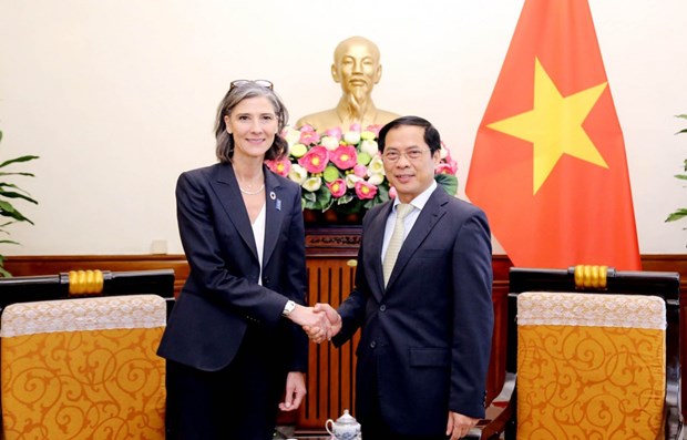 UNDP always attaches importance to cooperation with Vietnam hinh anh 1