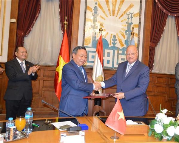 Vietnam, Egypt eye closer collaboration hinh anh 2