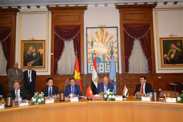 Vietnam, Egypt eye closer collaboration hinh anh 1