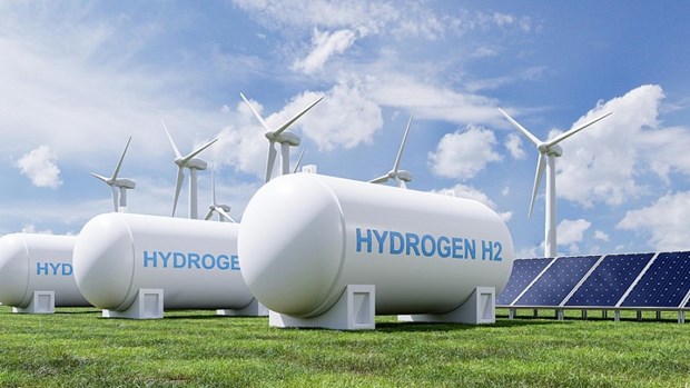 Green hydrogen development prospects in Vietnam under discussion hinh anh 1