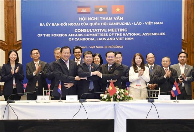 Vietnam, Laos, Cambodia NAs work hard to boost cooperation hinh anh 2